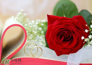 情人節送什么顏色的玫瑰花好？情人節送幾朵玫瑰花好？