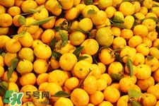 冰糖橘和砂糖橘哪個好吃？冰糖橘和砂糖橘的區別？