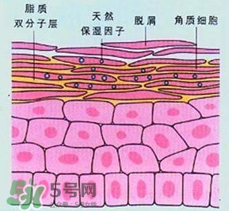 敷面膜真的有效嗎？敷面膜真的有用嗎？