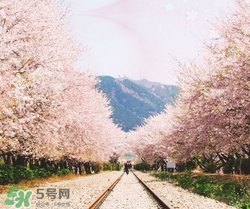 3月份去韓國穿什么？三月份去韓國穿什么衣服？