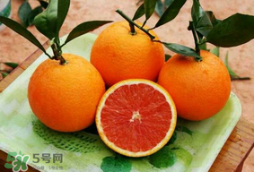 血橙上火嗎？血橙吃多了會上火嗎？