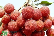 孕期吃荔枝會流產嗎？孕婦吃荔枝會好嗎？