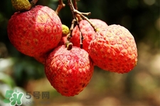 坐飛機(jī)能帶荔枝嗎？荔枝可以帶上飛機(jī)嗎？
