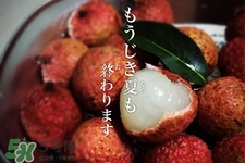 坐飛機(jī)能帶荔枝嗎？荔枝可以帶上飛機(jī)嗎？