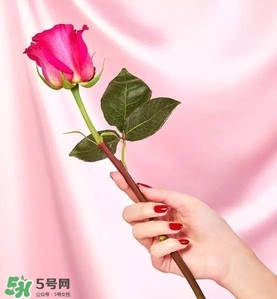 kate spade2017情人節包包多少錢？凱特絲蓓2017情人節包包哪里買？