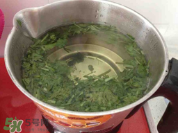 香菜煮水洗腎是真的嗎？香菜煮水洗腎是真的嗎