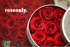 roseonly是怎么火起來的？roseonly值得買嗎？