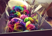 roseonly鮮花多少錢？roseonly永生花多少錢？
