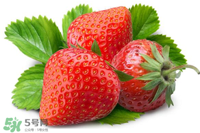 小孩多吃草莓好嗎？小孩可以摘草莓嗎？