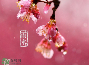 雨水吃什么？雨水節氣飲食禁忌？