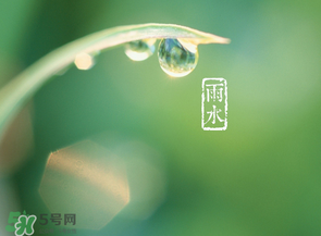 雨水吃什么？雨水節氣飲食禁忌？