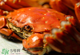 春天的螃蟹能吃嗎？開春后大閘蟹能吃嗎？