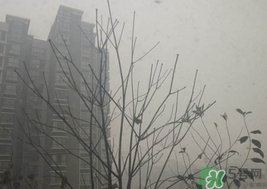 霧霾天開空調會不會污染室內空氣？
