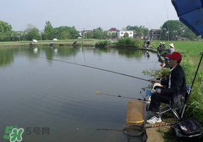 春天釣魚用什么餌料？春天釣魚用腥還是香？