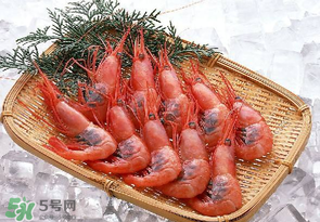 凍蝦能放多久？凍蝦放冰箱冷藏多久？