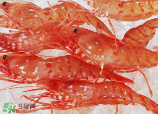 凍蝦能放多久？凍蝦放冰箱冷藏多久？