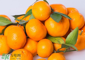 桔子批發多少錢一斤？桔子多少錢一斤？
