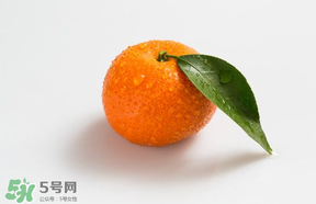 桔子批發多少錢一斤？桔子多少錢一斤？