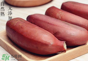 紅色香蕉和黃香蕉哪個好？紅香蕉和普通香蕉的區別