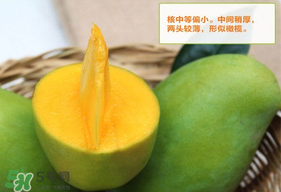 青芒果硬的能吃嗎？青芒果沒熟能吃嗎？