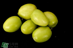 青棗什么時候上市？青棗什么時候成熟？