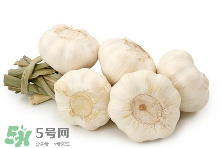 大蒜可以預(yù)防禽流感嗎？預(yù)防禽流感能吃大蒜嗎？