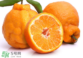 丑橘是轉基因嗎？丑八怪是轉基因的嗎？