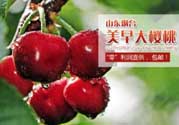美早和黑珍珠哪個好吃？美早和黑珍珠的區別