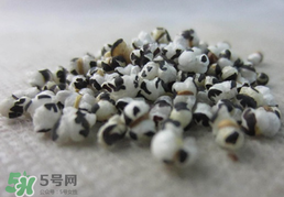 穿山甲下奶怎么吃？穿山甲下奶效果好嗎？