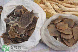 穿山甲下奶怎么吃？穿山甲下奶效果好嗎？