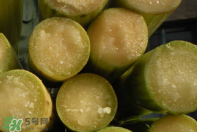 甘蔗要洗嗎？吃甘蔗時要用鹽水洗嗎？