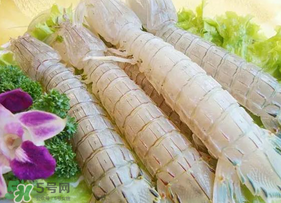 皮皮蝦為什么沒有肉？皮皮蝦為什么里面沒肉？