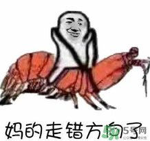 說人皮皮蝦是什么意思？女生叫男生皮皮蝦什么意思？