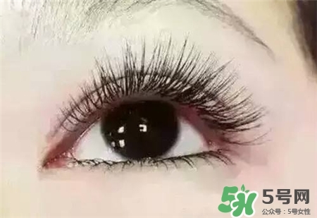 孕睫術(shù)是什么？孕睫術(shù)有用嗎？
