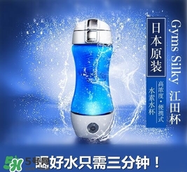 水素杯的價格是多少？水素杯日本價格多少？