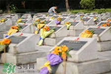 清明節(jié)能出游嗎？清明節(jié)可以出去旅游嗎？