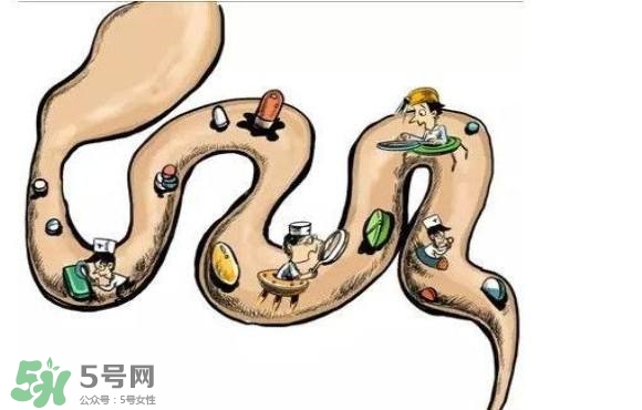 便秘吃什么藥好？便秘吃什么藥最快排便？