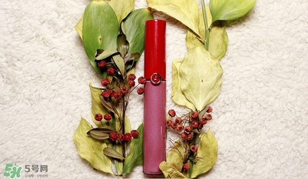 肉桂色口紅哪個牌子好？肉桂色口紅推薦