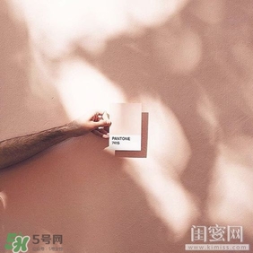 肉桂色口紅哪個牌子好？肉桂色口紅推薦