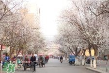倒春寒是一種什么冷？倒春寒為什么會冷？