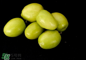 吃青棗可以減肥嗎？減肥可以吃青棗嗎？