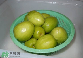 一斤青棗的熱量是多少？吃一斤青棗會胖嗎？