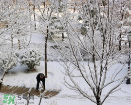 春天下雪意味著什么？春天為什么會下雪？