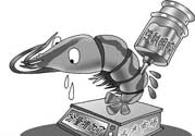 活蝦灌膠水是真的嗎？活蝦灌膠水人吃了會有什么害處？