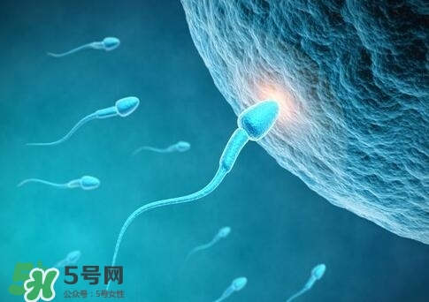 如何提高精子質(zhì)量與成活率？精子質(zhì)量怎么調(diào)理？