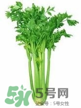 負卡路里的食物有哪些？負卡路里食物真的吃不胖嗎？