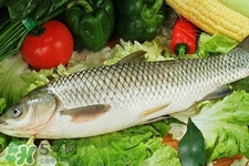 草魚能生吃嗎？草魚可以直接生吃嗎？