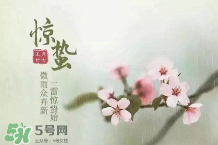 驚蟄是什么意思？驚蜇是什么節(jié)氣？