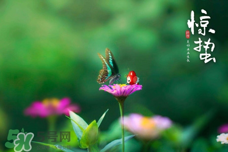 驚蟄是什么意思？驚蜇是什么節(jié)氣？