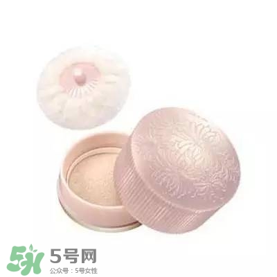 2017珠光散粉哪個牌子好？2017珠光散粉推薦